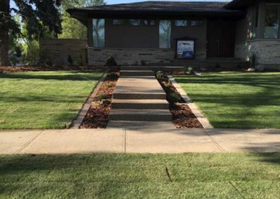 Front yard landscape