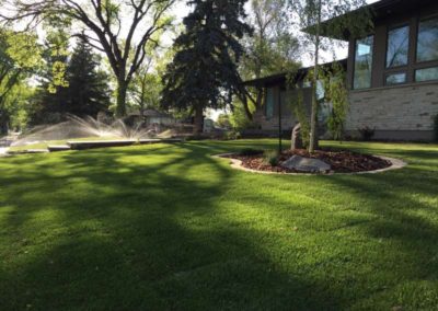 Sod and Irrigation