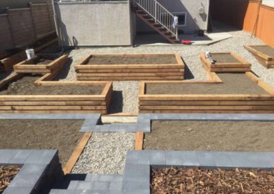 Raised Garden Boxes