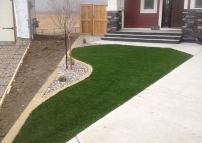 Synthetic Turf Lawn