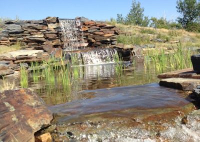 Water fall and pond