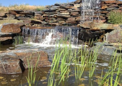 Water fall and pond