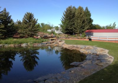 Pond shoreline construction