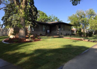 Frontyard landscape