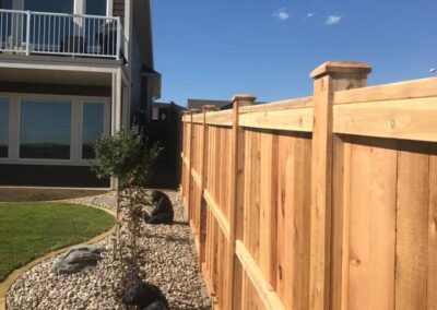 Cedar Fence