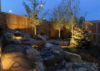 Landscape lighting, water feature, backyard oasis