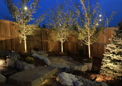 Landscape lighting, water feature, backyard oasis