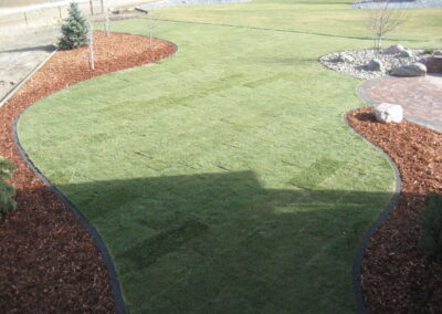 Backyard sod installation