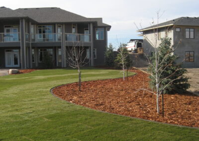 Backyard sod installation