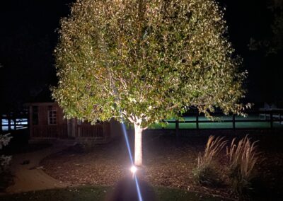 Landscape lighting