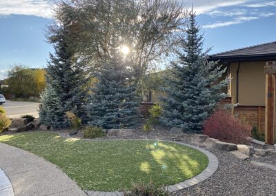 Front yard landscape