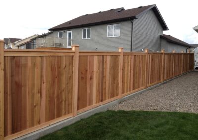 Cedar Fence