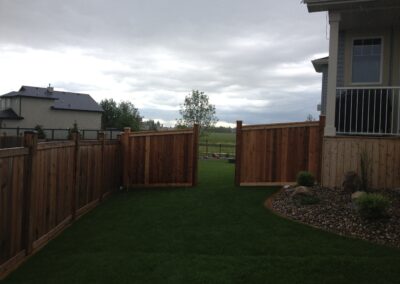 Cedar Fence