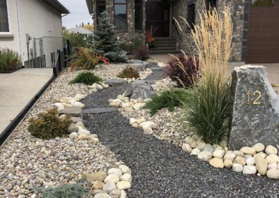 Front yard landscape, xeriscape