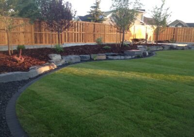 trees, natural stone wall