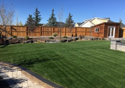 Backyard lawn and landscape