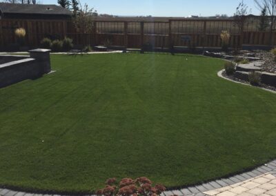 Backyard lawn and landscape